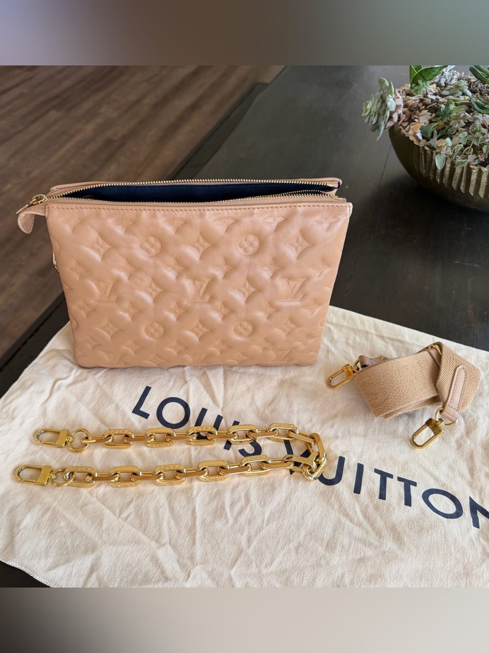 Louis Vuitton Coussin PM